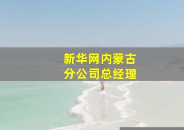 新华网内蒙古分公司总经理