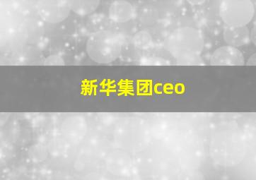 新华集团ceo