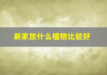 新家放什么植物比较好