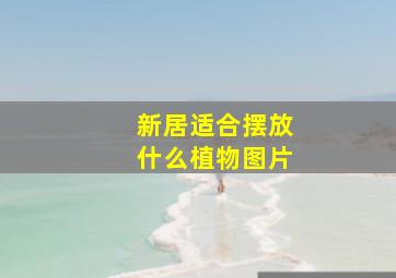 新居适合摆放什么植物图片