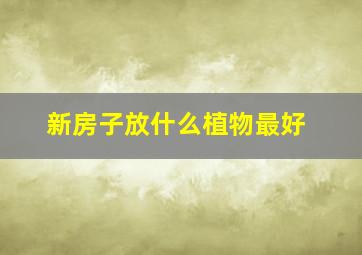 新房子放什么植物最好