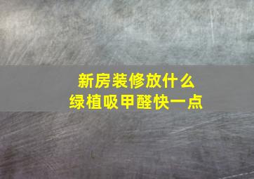 新房装修放什么绿植吸甲醛快一点