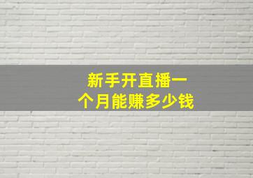 新手开直播一个月能赚多少钱