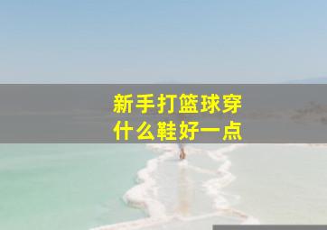 新手打篮球穿什么鞋好一点