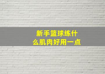 新手篮球练什么肌肉好用一点