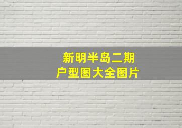 新明半岛二期户型图大全图片