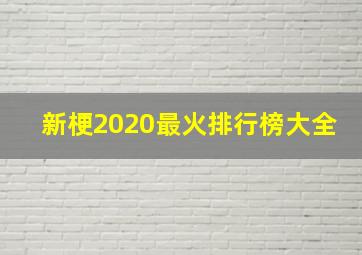 新梗2020最火排行榜大全