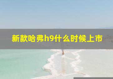 新款哈弗h9什么时候上市