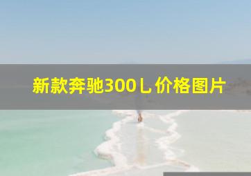 新款奔驰300乚价格图片