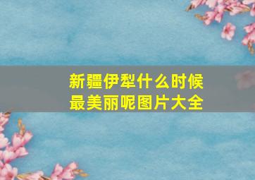 新疆伊犁什么时候最美丽呢图片大全