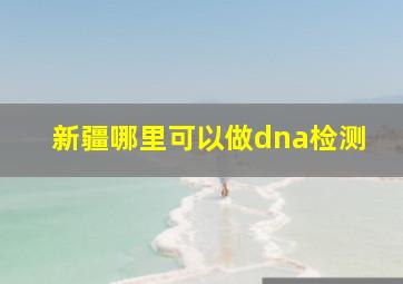 新疆哪里可以做dna检测