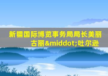 新疆国际博览事务局局长美丽古丽·吐尔逊