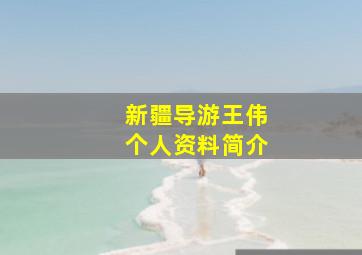 新疆导游王伟个人资料简介