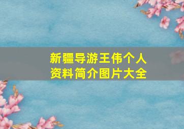 新疆导游王伟个人资料简介图片大全