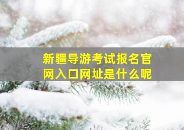 新疆导游考试报名官网入口网址是什么呢