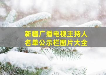 新疆广播电视主持人名单公示栏图片大全