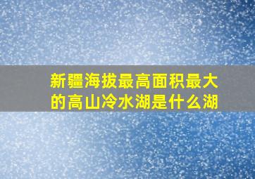 新疆海拔最高面积最大的高山冷水湖是什么湖