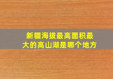 新疆海拔最高面积最大的高山湖是哪个地方