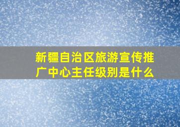 新疆自治区旅游宣传推广中心主任级别是什么