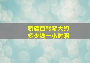 新疆自驾游大约多少钱一小时啊