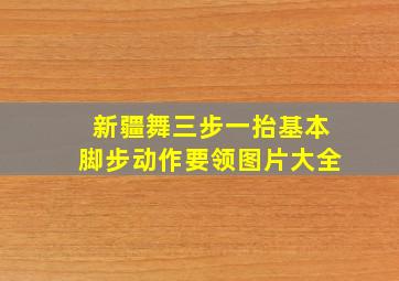 新疆舞三步一抬基本脚步动作要领图片大全