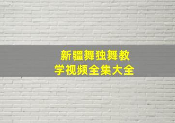 新疆舞独舞教学视频全集大全