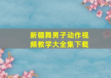 新疆舞男子动作视频教学大全集下载