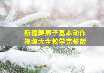 新疆舞男子基本动作视频大全教学完整版