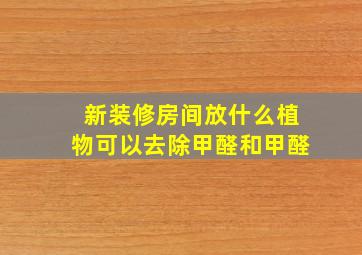 新装修房间放什么植物可以去除甲醛和甲醛