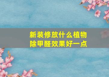 新装修放什么植物除甲醛效果好一点