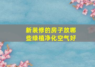 新装修的房子放哪些绿植净化空气好