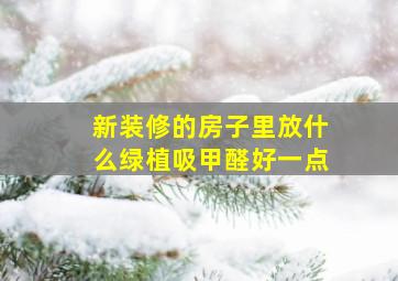 新装修的房子里放什么绿植吸甲醛好一点