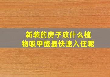 新装的房子放什么植物吸甲醛最快速入住呢