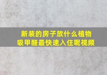 新装的房子放什么植物吸甲醛最快速入住呢视频