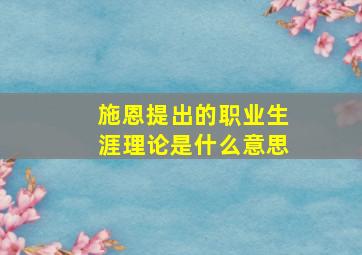 施恩提出的职业生涯理论是什么意思