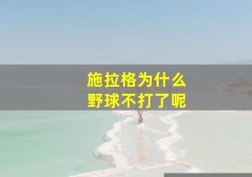 施拉格为什么野球不打了呢