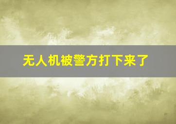 无人机被警方打下来了