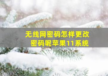 无线网密码怎样更改密码呢苹果11系统