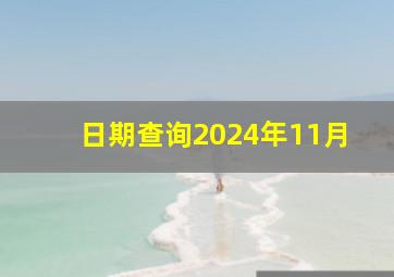 日期查询2024年11月