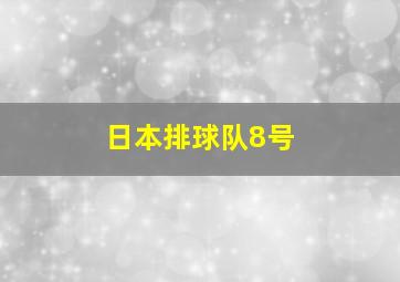 日本排球队8号