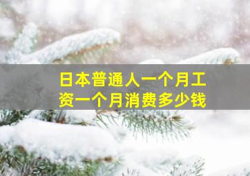 日本普通人一个月工资一个月消费多少钱