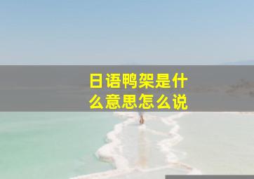 日语鸭架是什么意思怎么说