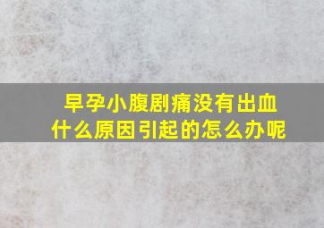 早孕小腹剧痛没有出血什么原因引起的怎么办呢