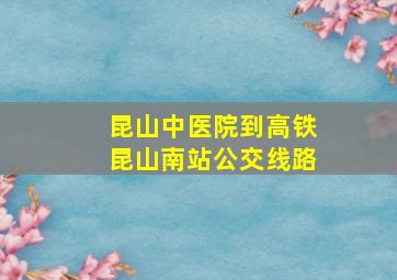 昆山中医院到高铁昆山南站公交线路