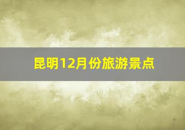 昆明12月份旅游景点