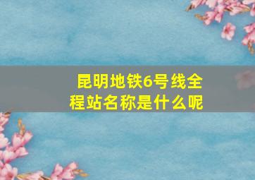 昆明地铁6号线全程站名称是什么呢