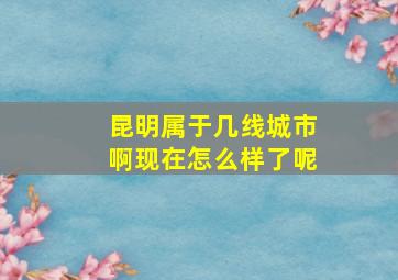 昆明属于几线城市啊现在怎么样了呢