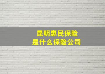 昆明惠民保险是什么保险公司