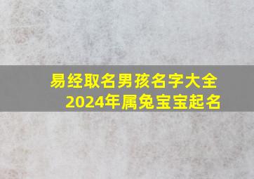 易经取名男孩名字大全2024年属兔宝宝起名