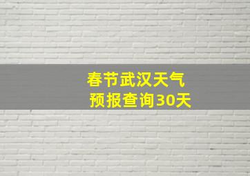 春节武汉天气预报查询30天